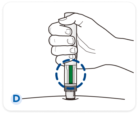 爾瑞易® Erelzi® SensoReady®注射筆使用步驟Ｄ